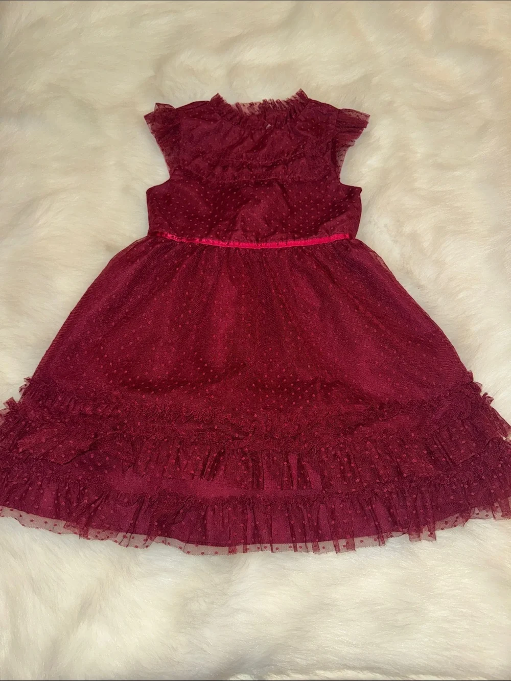 Janie and Jack Burgundy Ruffled Tulle Dress